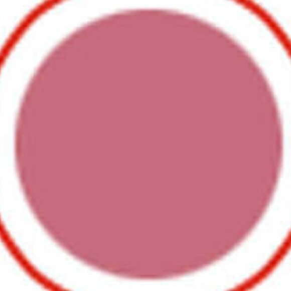 Belle Beauty Kisser Fixer Lip Gloss in Mauve Nude - Brand new - Full Size - Picture 2 of 7